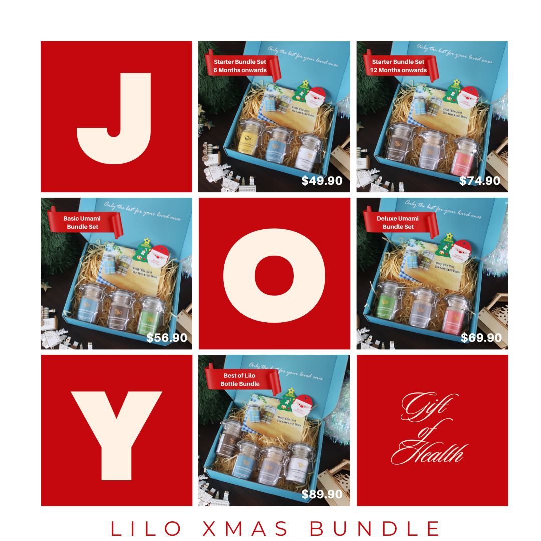 Lilo Xmas Festive Gift Box - Lilo Premium Ikan Bilis Powder